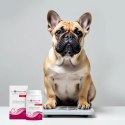 JM SANTE VET PROTECTOR GASTRO APETYT STOP 150g JM Sante