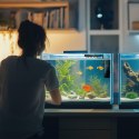 Kruger Meier FlowOne 300 - filtr wewnętrzny do akwarium