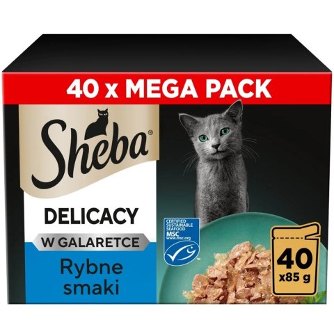 Sheba Delicacy Rybne Smaki w Galaretce Mokra Karma Dla Kota 40x85g Sheba