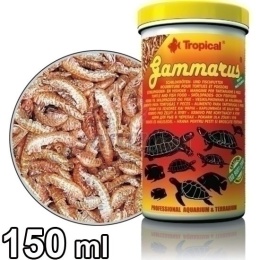 TROPICAL GAMMARUS PUSZKA 100ml /6szt
