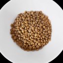 VET RESPONSE HYPPOALERGENIC dla kota 400 g Vet Response