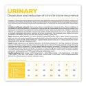 VetExpert Veterinary Diet Urinary cat 6kg (WYPRZEDAŻ) VetExpert