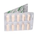 Vetfood Amylactiv Balance na trawienie pies i kot 60 kapsułek Vetfood
