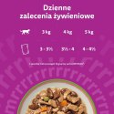 Whiskas Tasty mix wybór szefa kuchni w sosie mokra karma dla kota 40x85g Whiskas