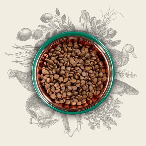 Eden Original Cousine 10kg (WYPRZEDAŻ) Eden