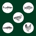 Eden Original Cousine 10kg (WYPRZEDAŻ) Eden