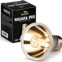 Terrario Nadara Pro 50W - halogen grzewczy do terrarium