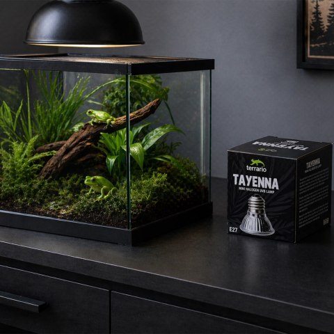 Terrario Tayenna 25W - mini halogen UVB