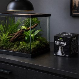 Terrario Tayenna 50W - mini halogen UVB