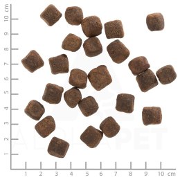 WOLFSBLUT Dark Forest fierce/sweet potatos 12,5kg (OUTLET) WOLFSBLUT