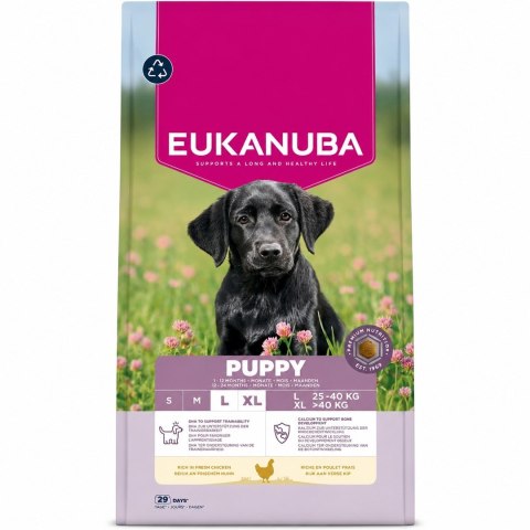 Eukanuba Dog Breeder Puppy Large Chicken 18kg EUKANUBA