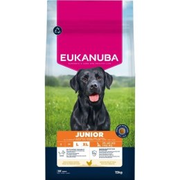 Eukanuba Premium Nutrition Junior Large & Giant Breed, kurczak 15kg EUKANUBA