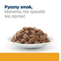 HILL'S Feline c/d - saszetka 85g Hill's