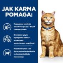 HILL'S Feline c/d - saszetka 85g Hill's