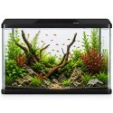 Kruger Meier LAORIA Panoramic 600 - akwarium 60l z oświetleniem i pokrywą