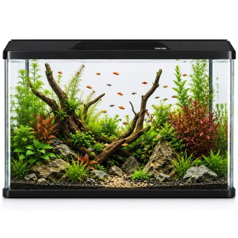Kruger Meier LAORIA Panoramic 600 - akwarium 60l z oświetleniem i pokrywą