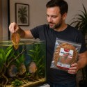 Kruger Meier Shrimp Leaves XL - liście ketapangu 15 sztuk