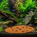 Kruger Meier Shrimp Leaves XL - liście ketapangu 15 sztuk