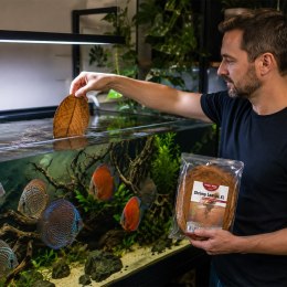 Kruger Meier Shrimp Leaves XL - liście ketapangu 20 sztuk