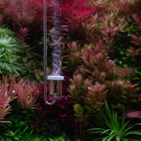 Neo Diffuser Original S CO2 + Clip White - dyfuzor CO2 + kolanko do akwarium 12mm