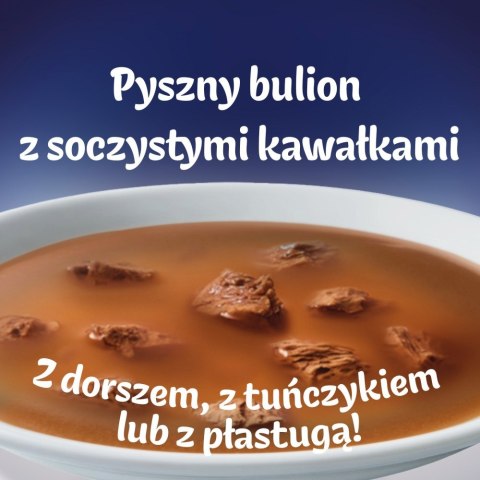 PURINA FELIX Soup ORIGINAL Rybne smaki 6x48g PURINA NESTLE