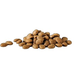 Versele Laga HappyLife Essential sucha karma z kurczakiem dla psów dorosłych 20kg VERSELE-LAGA