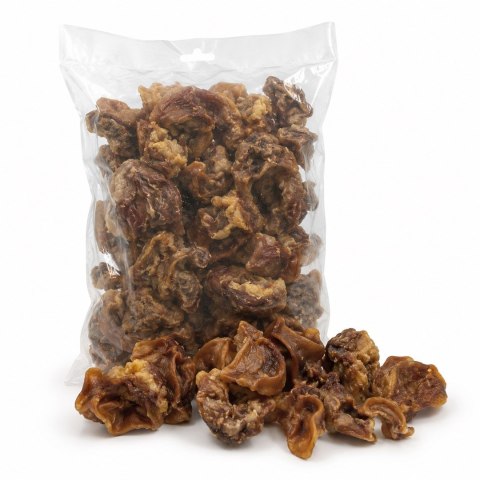 PETITTO Ucho wieprzowe środkowe przysmak dla psa 1kg PETITTO