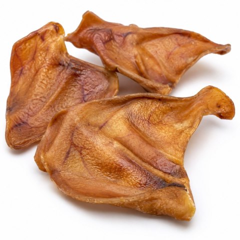 PETITTO ucho wieprzowe dla psa 10 szt 40g PETITTO