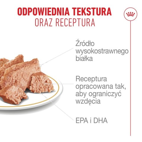 Royal Canin French Bulldog Adult mokra karma dla psów pasztet 12x85g Royal Canin