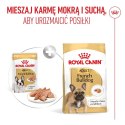 Royal Canin French Bulldog Adult mokra karma dla psów pasztet 12x85g Royal Canin