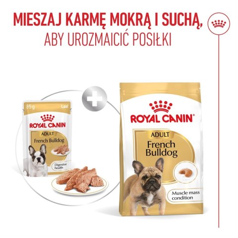 Royal Canin French Bulldog Adult mokra karma dla psów pasztet 12x85g Royal Canin