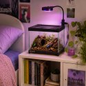 Terrario Frevo Clear Terrarium 20x20x17cm - terrarium szklane