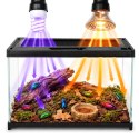 Terrario Frevo Clear Terrarium 30x20x17cm - terrarium szklane