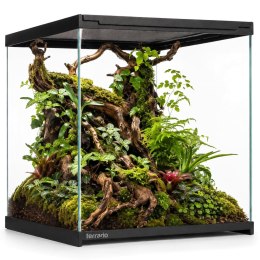 Terrario Frevo Clear Terrarium 30x30x30cm - terrarium szklane