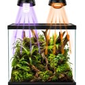 Terrario Frevo Clear Terrarium 30x30x30cm - terrarium szklane