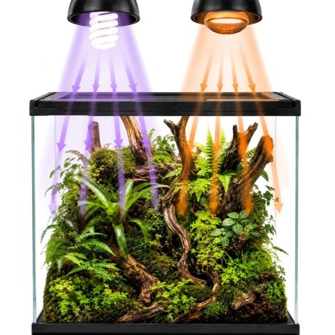 Terrario Frevo Clear Terrarium 30x30x30cm - terrarium szklane