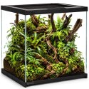 Terrario Frevo Clear Terrarium 30x30x30cm - terrarium szklane