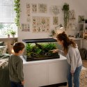 Terrario Frevo Clear Terrarium 50x30x30cm - terrarium szklane