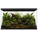 Terrario Frevo Clear Terrarium 50x30x30cm - terrarium szklane