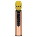Mikrofon bezprzewodowy karaoke dla dzieci głośnik Bluetooth 2000mAh karta SD USB wysoka jakość złoty Kik Sp. z o. o. Sp. k.