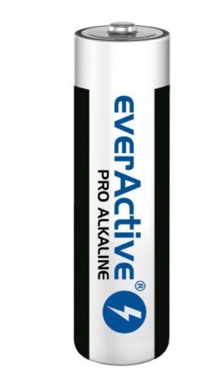 Bateria everActive Pro Alkaline LR03 AAA 10 szt. Baltrade Sp. z o. o. Bateria everActive Pro Alkaline LR03 AAA 10 szt. Baltrade Sp. z o. o.