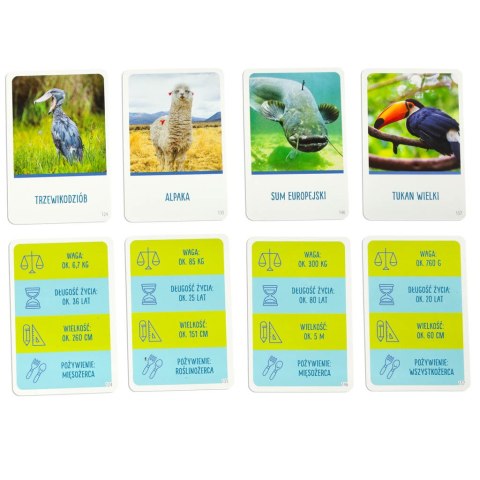 Gra edukacyjna Na tropie gra dla ciekawskich 8+ MULTIGRA Alexander Gra edukacyjna Na tropie gra dla ciekawskich 8+ MULTIGRA Alexander