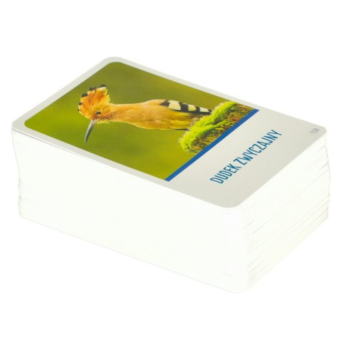 Gra edukacyjna Na tropie gra dla ciekawskich 8+ MULTIGRA Alexander Gra edukacyjna Na tropie gra dla ciekawskich 8+ MULTIGRA Alexander