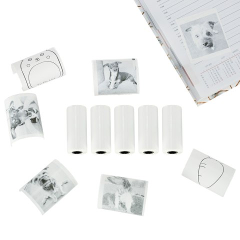 Kik Sp. z o. o. Sp. k. Rolki papier wkład samoprzylepny termiczny do mini drukarki 5,7cmx4,5m 5 sztuk Kik Sp. z o. o. Sp. k. Rolki papier wkład samoprzylepny termiczny do mini drukarki 5,7cmx4,5m 5 sztuk