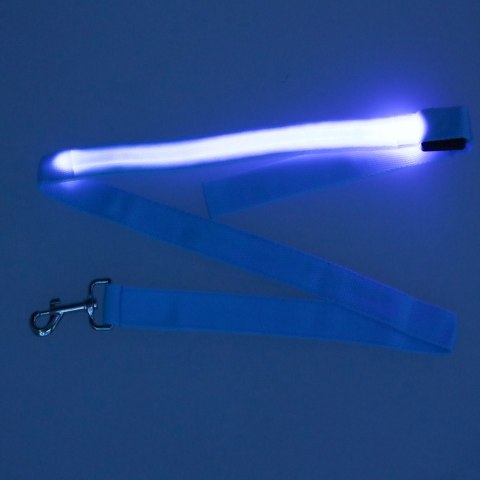 Kik Sp. z o. o. Sp. k. Smycz dla psa kota świecąca spacer jesień zima noc LED 1,2 m niebieska Kik Sp. z o. o. Sp. k. Smycz dla psa kota świecąca spacer jesień zima noc LED 1,2 m niebieska