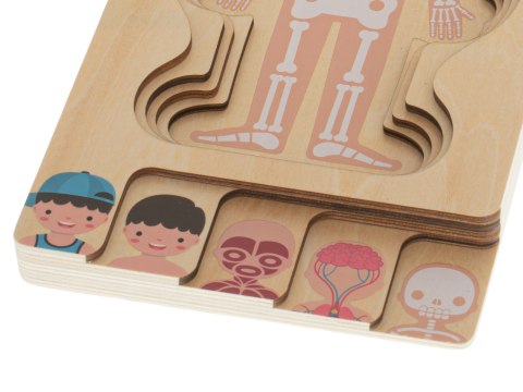 Puzzle drewniane warstwowe budowa ciała montessori chłopiec Kik Sp. z o. o. Sp. k. Puzzle drewniane warstwowe budowa ciała montessori chłopiec Kik Sp. z o. o. Sp. k.