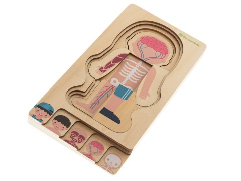 Puzzle drewniane warstwowe budowa ciała montessori chłopiec Kik Sp. z o. o. Sp. k. Puzzle drewniane warstwowe budowa ciała montessori chłopiec Kik Sp. z o. o. Sp. k.