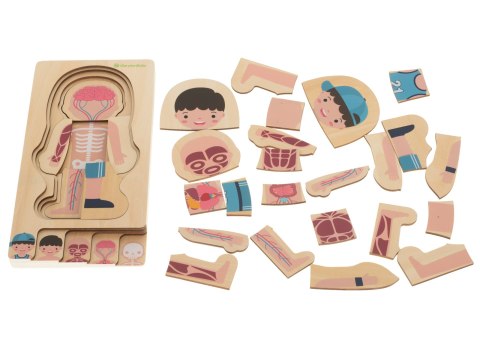 Puzzle drewniane warstwowe budowa ciała montessori chłopiec Kik Sp. z o. o. Sp. k. Puzzle drewniane warstwowe budowa ciała montessori chłopiec Kik Sp. z o. o. Sp. k.