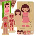 Kik Sp. z o. o. Sp. k. Puzzle drewniane warstwowe budowa ciała montessori dziewczynka