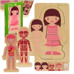 Puzzle drewniane warstwowe budowa ciała montessori dziewczynka Kik Sp. z o. o. Sp. k.